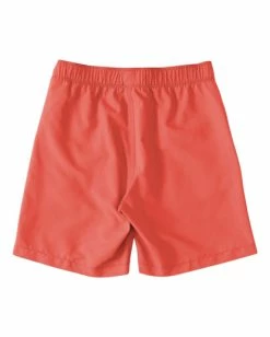Hot Sale 🥰 Billabong Boy's All Day Layback Boardshorts DARK MINT 🔥 -boys Sales Store abbjv00104 billabongf crl bck1 1