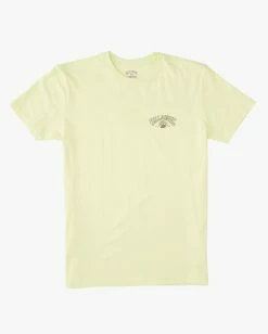 Brand new ⭐ Billabong Boy's Theme Arch Short Sleeve T-Shirt LIGHT GREEN 👍 -boys Sales Store abbzt00297 billabongf gcq0 frt1 1