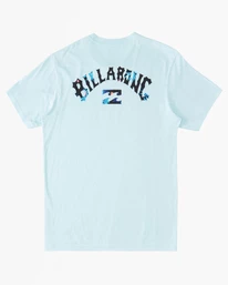 Best Pirce โ Billabong Boy's Arch Fill T-Shirt TEAL ๐คฉ