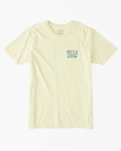 Buy ⌛ Billabong Boy's Worded T-Shirt LIGHT LIME 🎉 -boys Sales Store abbzt00362 billabongf ltl bck1 1