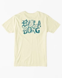 Buy ⌛ Billabong Boy's Worded T-Shirt LIGHT LIME 🎉